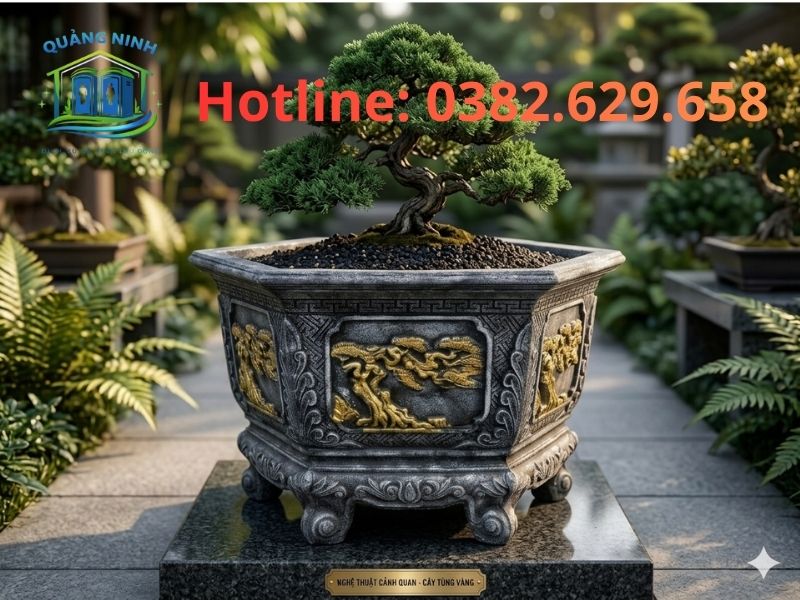 chau-da-cay-canh-so1-quang-ninh (3)